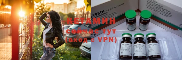 стаф Абинск