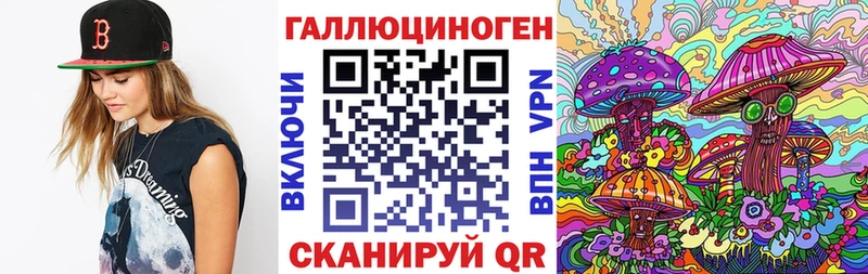 где продают наркотики  OMG зеркало  Псилоцибиновые грибы мицелий  Советская Гавань 